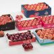 Recambio varietal en manzanas ¿Quién se unirá al club?
