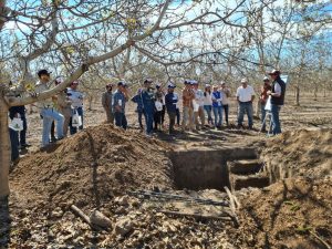 M&V sella alianza con Kilimo para ayudar a agricultores a ser más eficientes en el riego