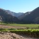 La industria de la uva de mesa chilena y sus retos