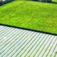 Experiencias de manejo de uva de mesa bajo plástico