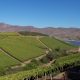 Cambio climático: Estrategias y acciones de adaptación en la producción hortofrutícola de Chile