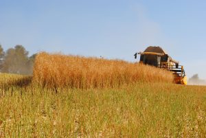El Consejo Europeo adopta una nueva política agrícola para el período 2023-2027