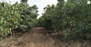 Tres cadenas están excluyendo a empresas productoras que atenten contra los derechos sociales