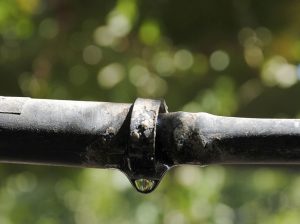 Defensa en el predio: estrategias de riego y uso de cubiertas