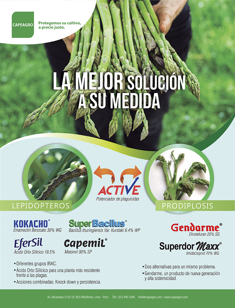 cultivo de hortalizas