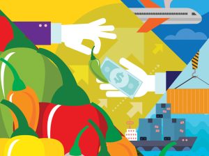 Capsicum: 2020 Las exportaciones crecen en lo que va del año