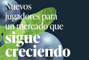 Nuevos  jugadores para  un mercado que sigue creciendo