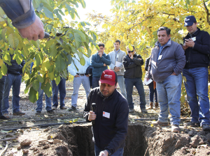 Realizan día de campo de nogales en riego y reguladores de crecimiento