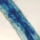 Un sistema radicular interactuando es un sistema sustentable
