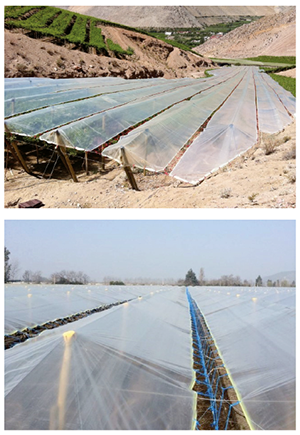 Conferencia Redagrícola Piura 2019