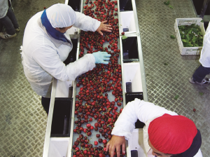 Un desafío superado con mérito