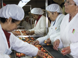 Desafíos para la mano de obra agrícola a 2025