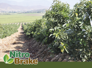 NitroBrake® 3,5 DMPP de alta concentración