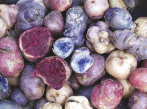 Nuevos aires para un cultivo milenario