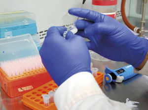 Bacterias para mejorar el desarrollo de las plantas: del laboratorio al mercado