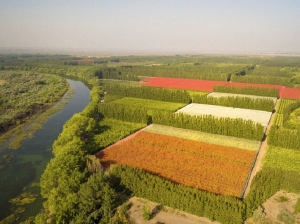 Soluciones eficaces para la industria hortofrutícola