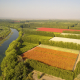 Soluciones eficaces para la industria hortofrutícola