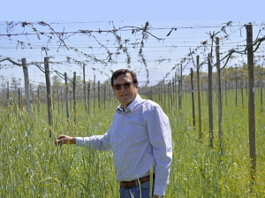 Jean Boudeguer: El único productor de uva de mesa certificada orgánica de Chile