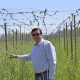 Jean Boudeguer: El único productor de uva de mesa certificada orgánica de Chile