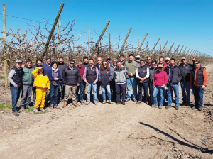 2018: Exitoso año de campo abierto de M&V