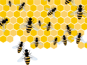 Abejas y Colmenas: Monitoreo y mecanización