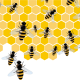 Abejas y Colmenas: Monitoreo y mecanización