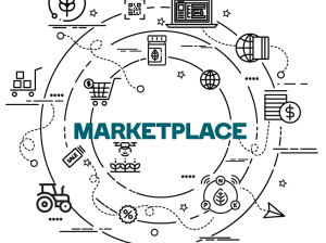 Distribución de Agroinsumos: ¿Quién va a ganar la carrera de los Marketplace agrícolas de insumos?