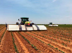 Robótica: El campo autónomo
