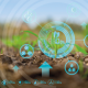 Digital Farming: Donde todos los grandes quieren estar