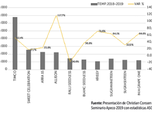 Exportaciones globales de arándanos superarían el millón de toneladas
