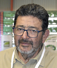 Exportaciones globales de arándanos superarían el millón de toneladas