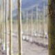 15 años apoyando el desarrollo agrícola chileno