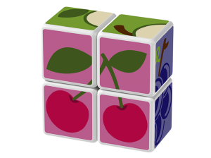 Quince meses para construir la calidad final de la cereza