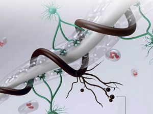 “Nuestro modelo integral microbiano es fruto de 10 años de trabajo en biotecnología”