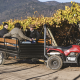 Mecanización racional de Celagro. Tecnología de motos atv y equipos para obtener ahorros significativos