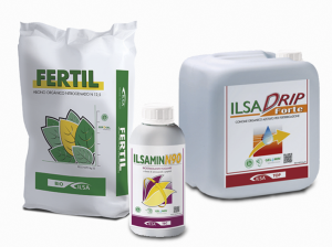 Alternativas sustentables para el cultivo de paltos