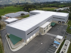 “Tenemos capacidad para procesar 1.500 contenedores de aguacate al año”