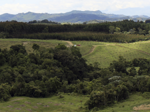 Empresarios de Michoacán buscan ventanas para abastecer mercados