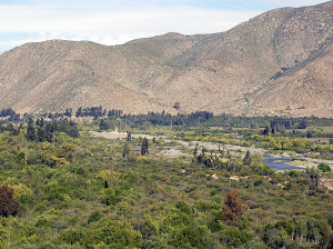 Calidad de agua de cuencas Choapa, Maipo y Rapel a la luz de la normativa de riego NCh1333