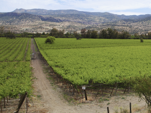 “Las más críticas son las cuencas de la zona centro norte sin regulación”