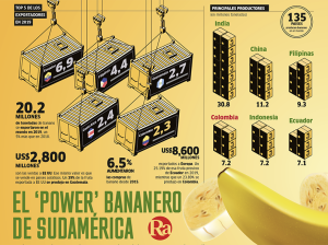 El "Power" bananero de Sudamérica