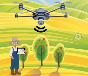 Cómo la Big Data está revolucionando la agricultura y la cadena de abastecimiento