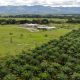 Palmicultores colombianos ya cuentan con un nuevo centro experimental