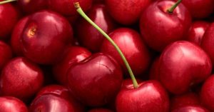 Perú prueba variedades tempranas de cereza en pos de una nueva genética que permita producción comercial