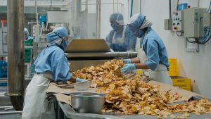 Chips de papa nativa de Huancavelica conquistan Europa