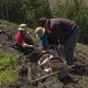 Capacitan sobre un mejor manejo del cultivo de la papa