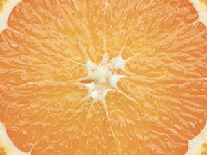 Cítricos, las perspectivas para este 2022. Las exigencias del mercado internacional se han retomado y afectarán las exportaciones.