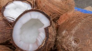 Colombia apunta a formar parte de la Comunidad Internacional del Coco