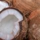 Colombia apunta a formar parte de la Comunidad Internacional del Coco