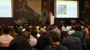 Redagrícola Colombia se prepara para la 3ª Conferencia Técnica sobre aguacates 2024